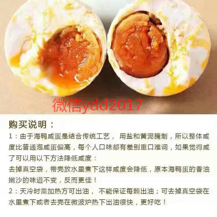 海鴨蛋圖片/海鴨蛋樣板圖 (4)