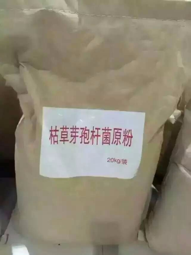 枯草芽孢杆菌-金益菌生物科技有限图片