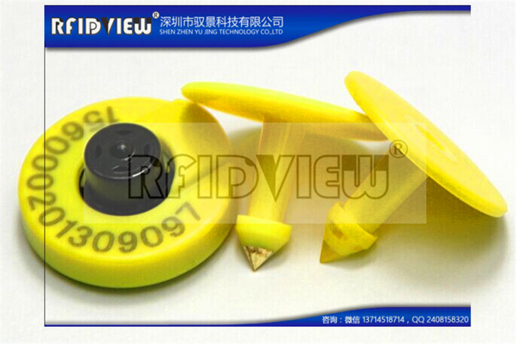 豬耳標圖片/豬耳標樣板圖 (2)