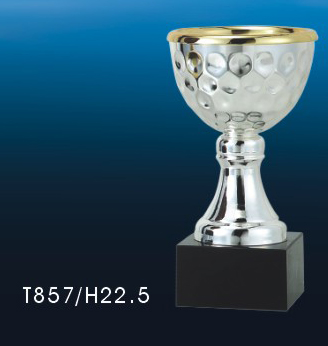 比賽獎(jiǎng)杯圖片/比賽獎(jiǎng)杯樣板圖 (4)