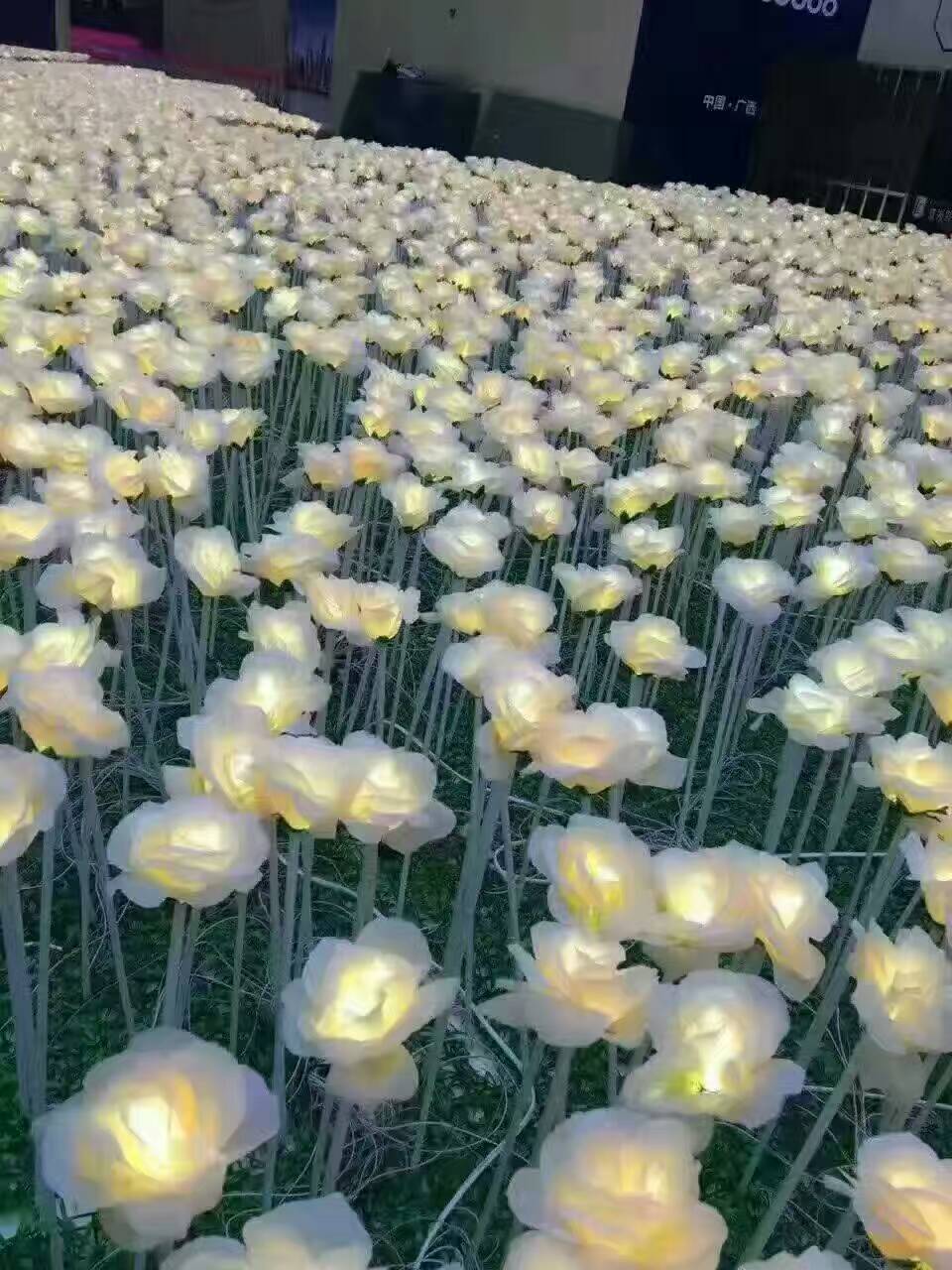上海玫瑰圖片/上海玫瑰樣板圖 (2)