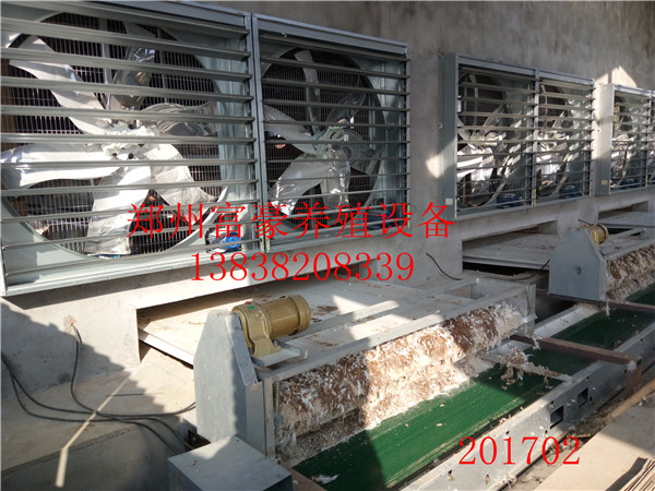 自動化養(yǎng)雞設(shè)備階梯撿蛋機 皮帶清圖片/自動化養(yǎng)雞設(shè)備階梯撿蛋機 皮帶清樣板圖 (2)