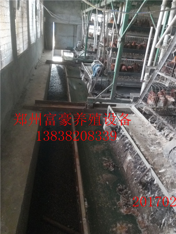 清糞帶清糞機(jī) 自動(dòng)化選蛋設(shè)備圖片/清糞帶清糞機(jī) 自動(dòng)化選蛋設(shè)備樣板圖 (1)