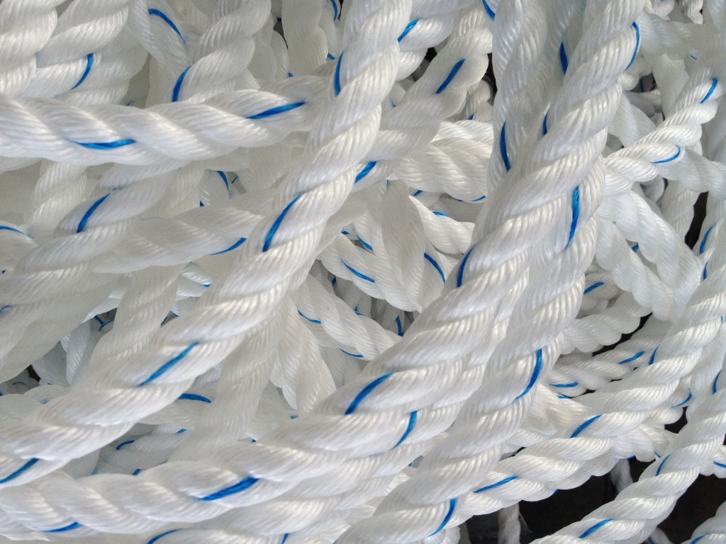 羊舍圖片/羊舍樣板圖 (4)