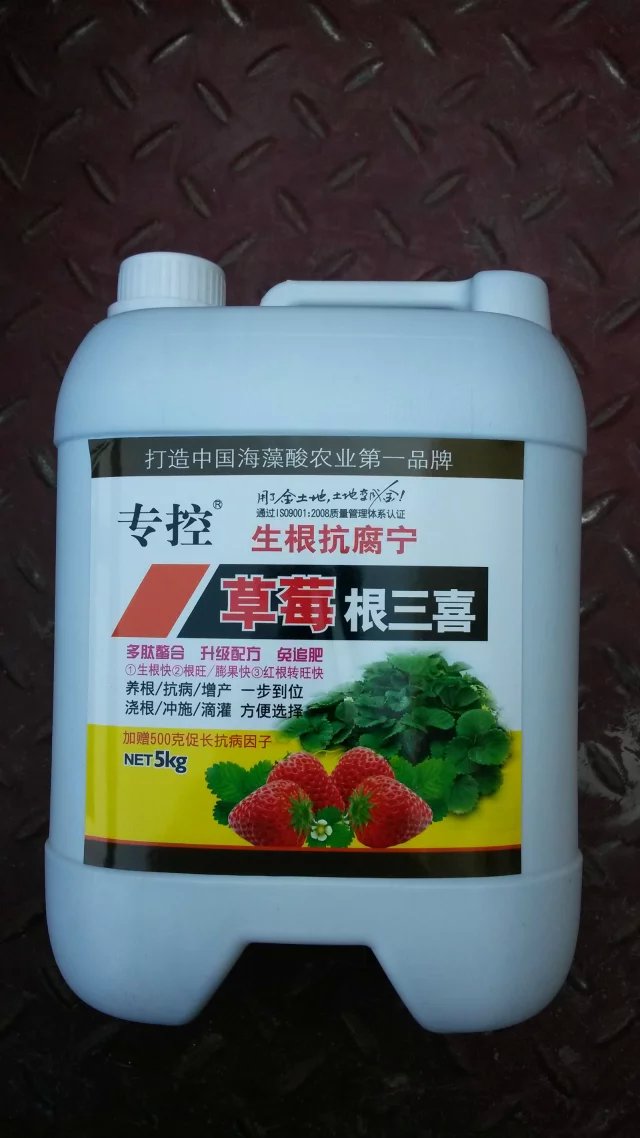 草莓根三喜防治草莓烂根 促进草莓生根壮苗根系发达好农药图片