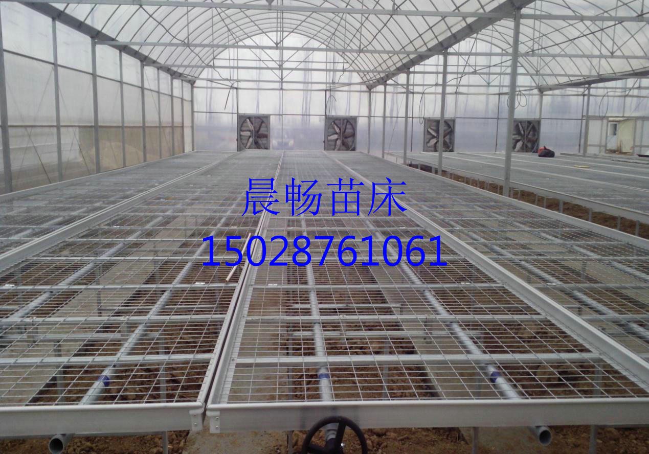 溫室苗床網(wǎng)圖片/溫室苗床網(wǎng)樣板圖 (2)