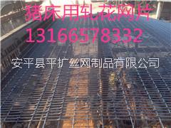 豬腳圖片/豬腳樣板圖 (1)