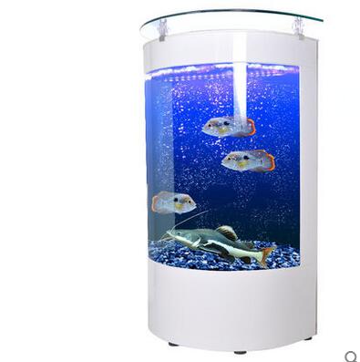 半圓形生態(tài)魚缸圖片/半圓形生態(tài)魚缸樣板圖 (4)