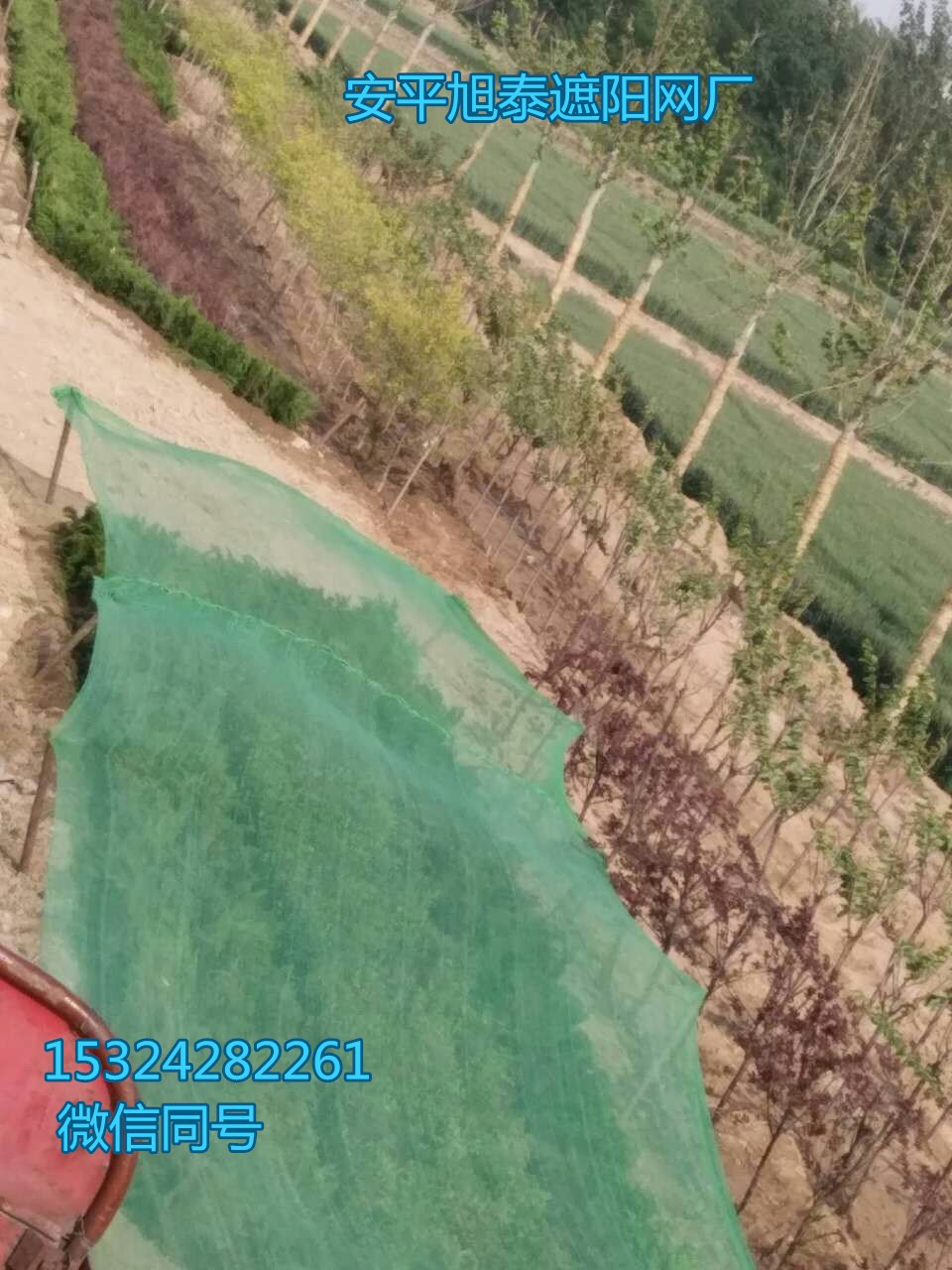 三針綠色黑色遮陽網(wǎng)