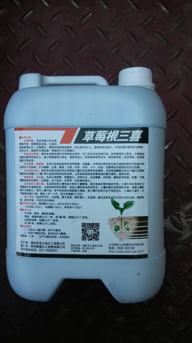 預(yù)防草莓根腐病圖片/預(yù)防草莓根腐病樣板圖 (2)