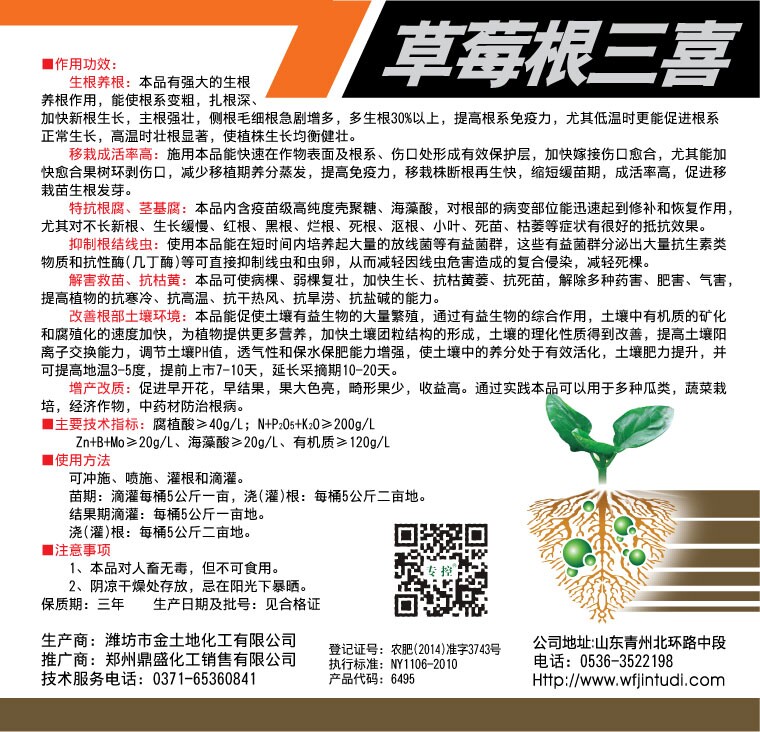 預(yù)防草莓根腐病圖片/預(yù)防草莓根腐病樣板圖 (4)