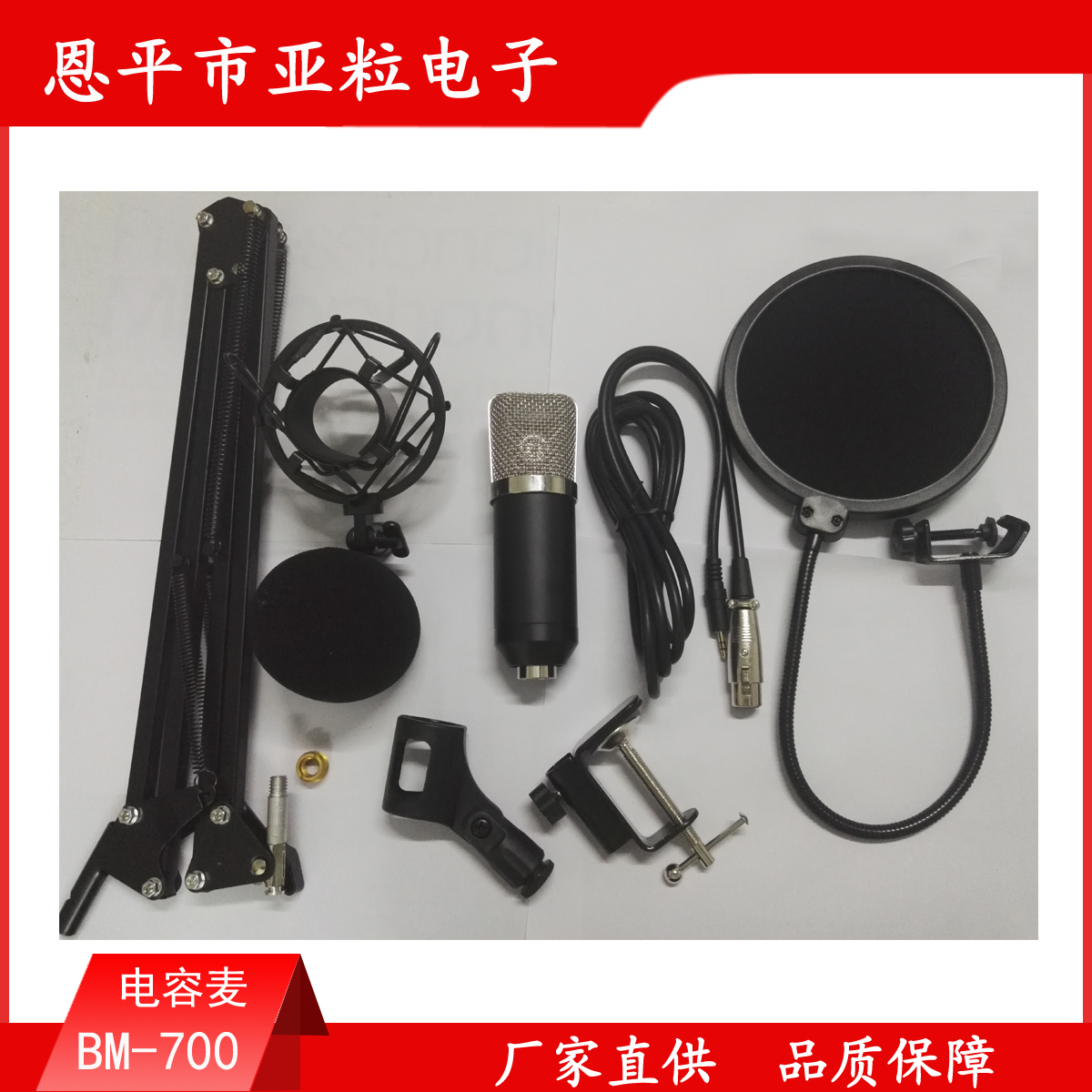 BM-700套裝麥克風(fēng)圖片