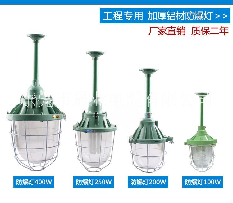 LED防爆燈具圖片/LED防爆燈具樣板圖 (2)