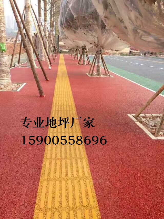 海綿城市建設(shè) 彩色無砂混凝土地坪圖片/海綿城市建設(shè) 彩色無砂混凝土地坪樣板圖 (4)