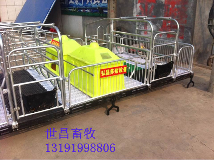 母豬產(chǎn)床圖片/母豬產(chǎn)床樣板圖 (1)