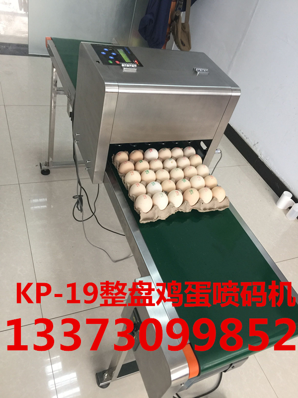科力普整盤雞蛋六噴頭噴碼機打碼機圖片