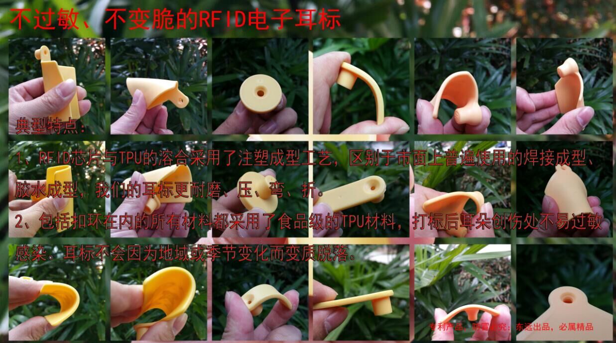 超高頻電子羊耳標(biāo)圖片/超高頻電子羊耳標(biāo)樣板圖 (2)