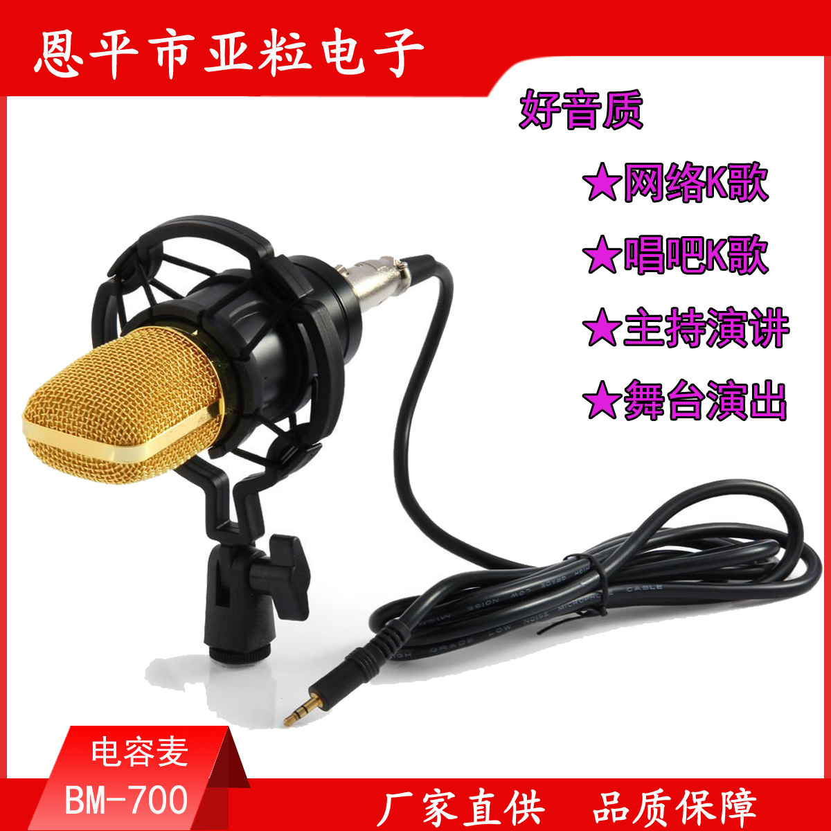 BM-700錄音麥克風(fēng)圖片