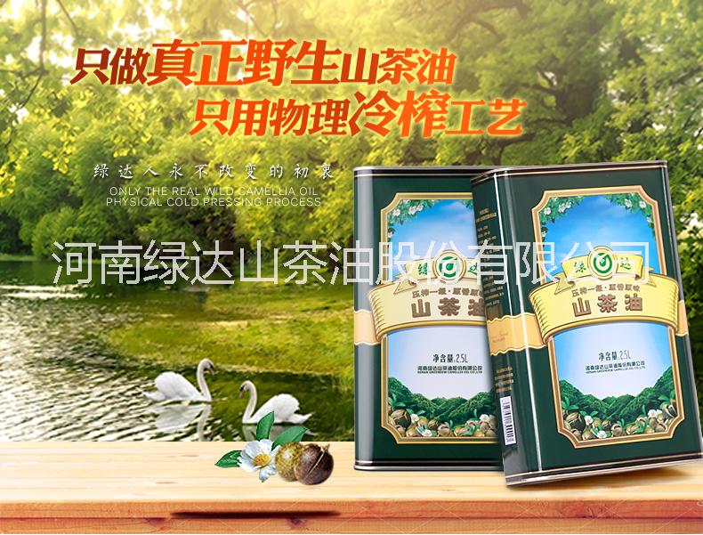 供應綠達山茶油2.5L 低溫物理壓榨  0添加 無污染