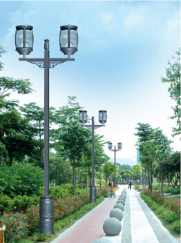 白玉蘭圖片/白玉蘭樣板圖 (2)