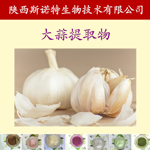 大蒜提取物粉10:1圖片