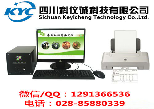 微生物圖片/微生物樣板圖 (2)