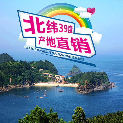 發(fā)海參圖片/發(fā)海參樣板圖 (4)