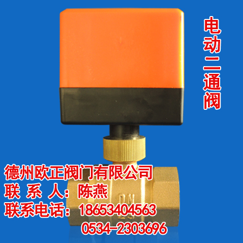 電動二通調(diào)節(jié)閥圖片/電動二通調(diào)節(jié)閥樣板圖 (3)