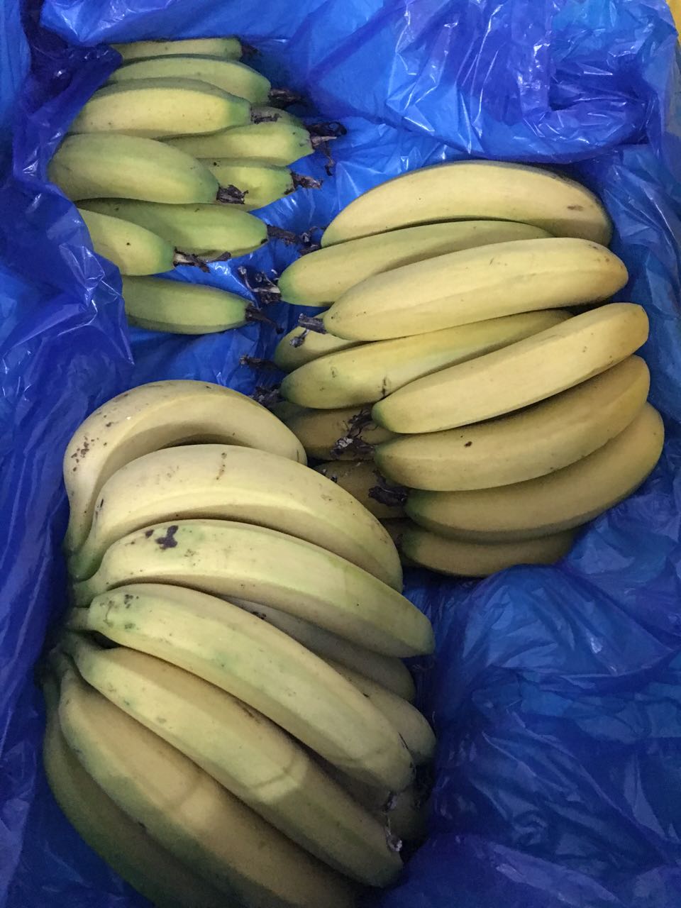 新塘蔬菜配送、新塘蔬菜配送公司-廣州紅豆蔬菜配送有限公司更生鮮