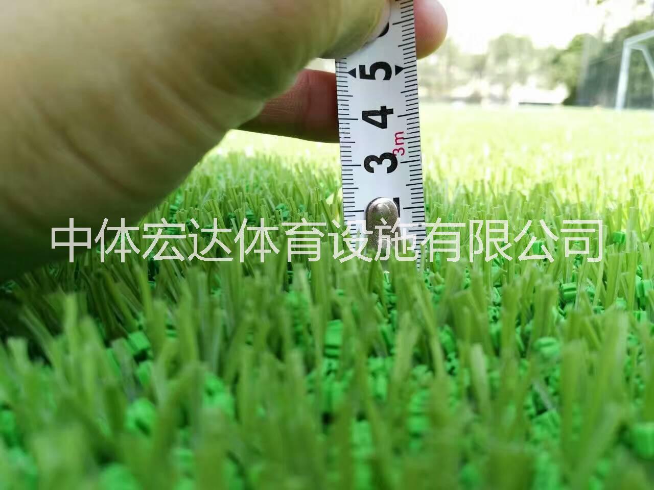 人造草坪圖片/人造草坪樣板圖 (1)