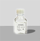 支原體圖片/支原體樣板圖 (1)