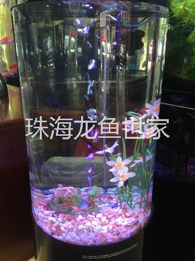 魚缸造景圖片/魚缸造景樣板圖 (3)