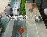 海水珊瑚圖片/海水珊瑚樣板圖 (2)