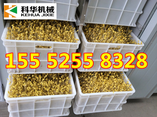 自動(dòng)豆芽機(jī)圖片/自動(dòng)豆芽機(jī)樣板圖 (3)