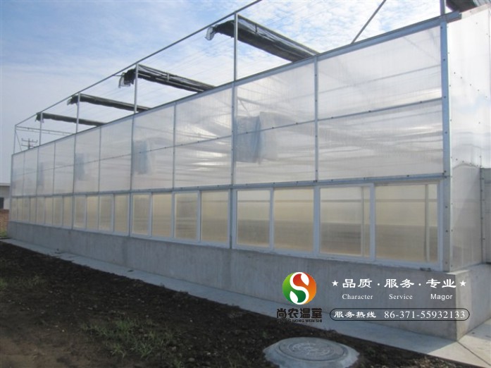 尚農(nóng)溫室大棚圖片/尚農(nóng)溫室大棚樣板圖 (2)