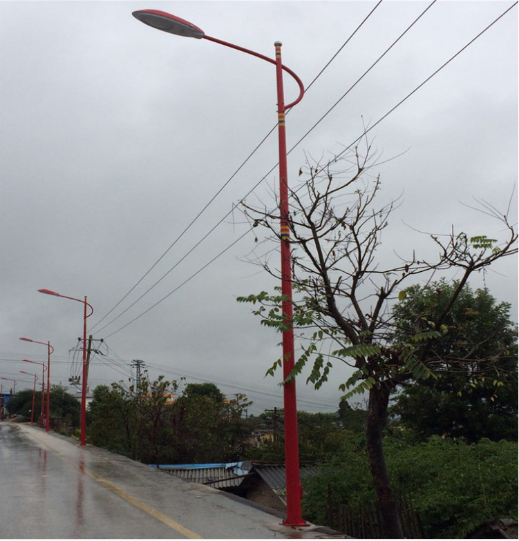 民族特色路灯 民族彩绘路灯 扬州单臂路灯价格 扬州单臂灯价格 6米7米8米单臂路灯 7米8米单臂路灯价格