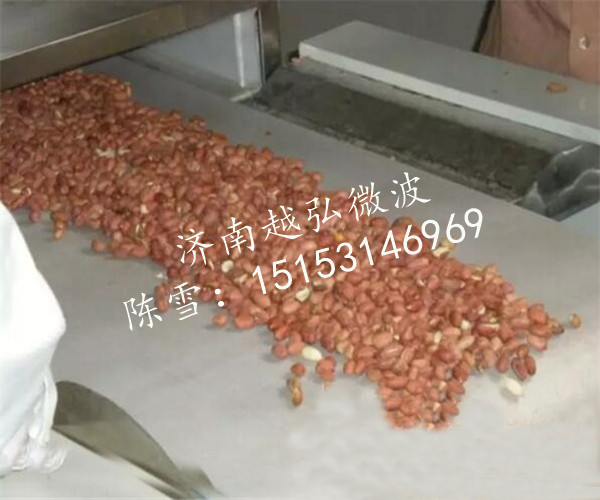 含運費的連續(xù)式微波農(nóng)副產(chǎn)品烘焙設(shè)備