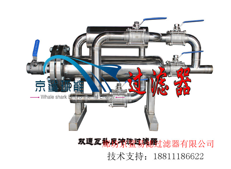 手動(dòng)雙通互補(bǔ)反沖洗過濾器圖片
