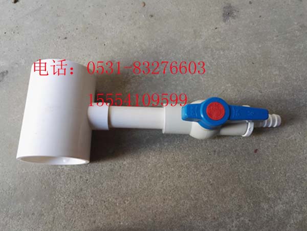 寶塔頭圖片/寶塔頭樣板圖 (4)