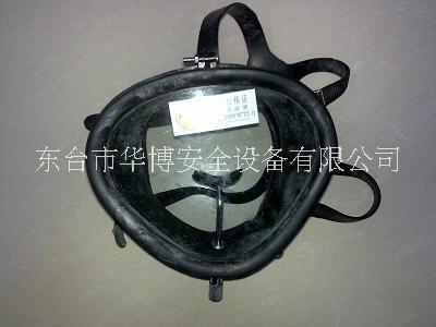 潛水面罩圖片/潛水面罩樣板圖 (3)