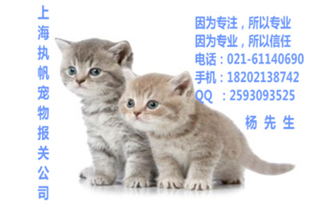 中國(guó)上海入境寵物簡(jiǎn)單報(bào)關(guān)報(bào)檢清關(guān)圖片