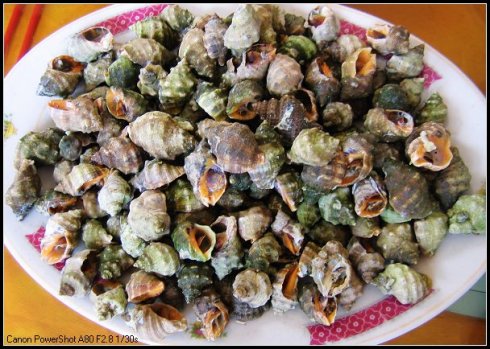 口味唆螺圖片/口味唆螺樣板圖 (4)