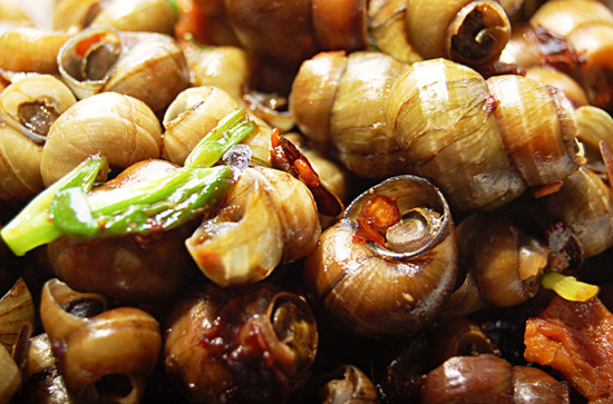 口味唆螺圖片/口味唆螺樣板圖 (2)