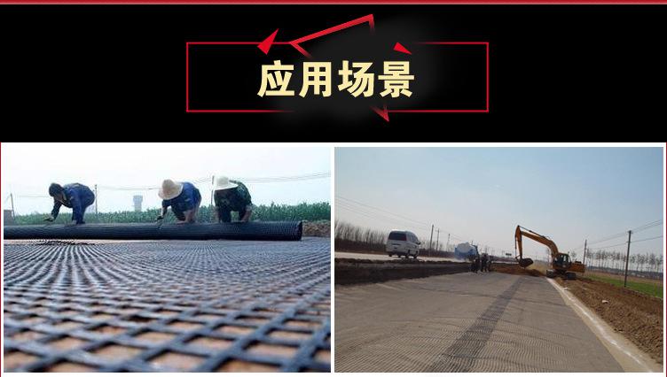 【山東大庚】土工格柵 PP格柵圖片/【山東大庚】土工格柵 PP格柵樣板圖 (3)