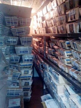 法國 愛爾蘭 澳洲 美國 加拿大圖片/法國 愛爾蘭 澳洲 美國 加拿大樣板圖 (3)