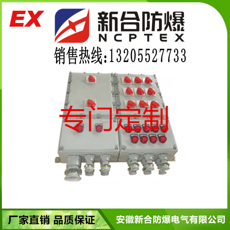 BXK防爆控制箱 不容易發(fā)生危險圖片
