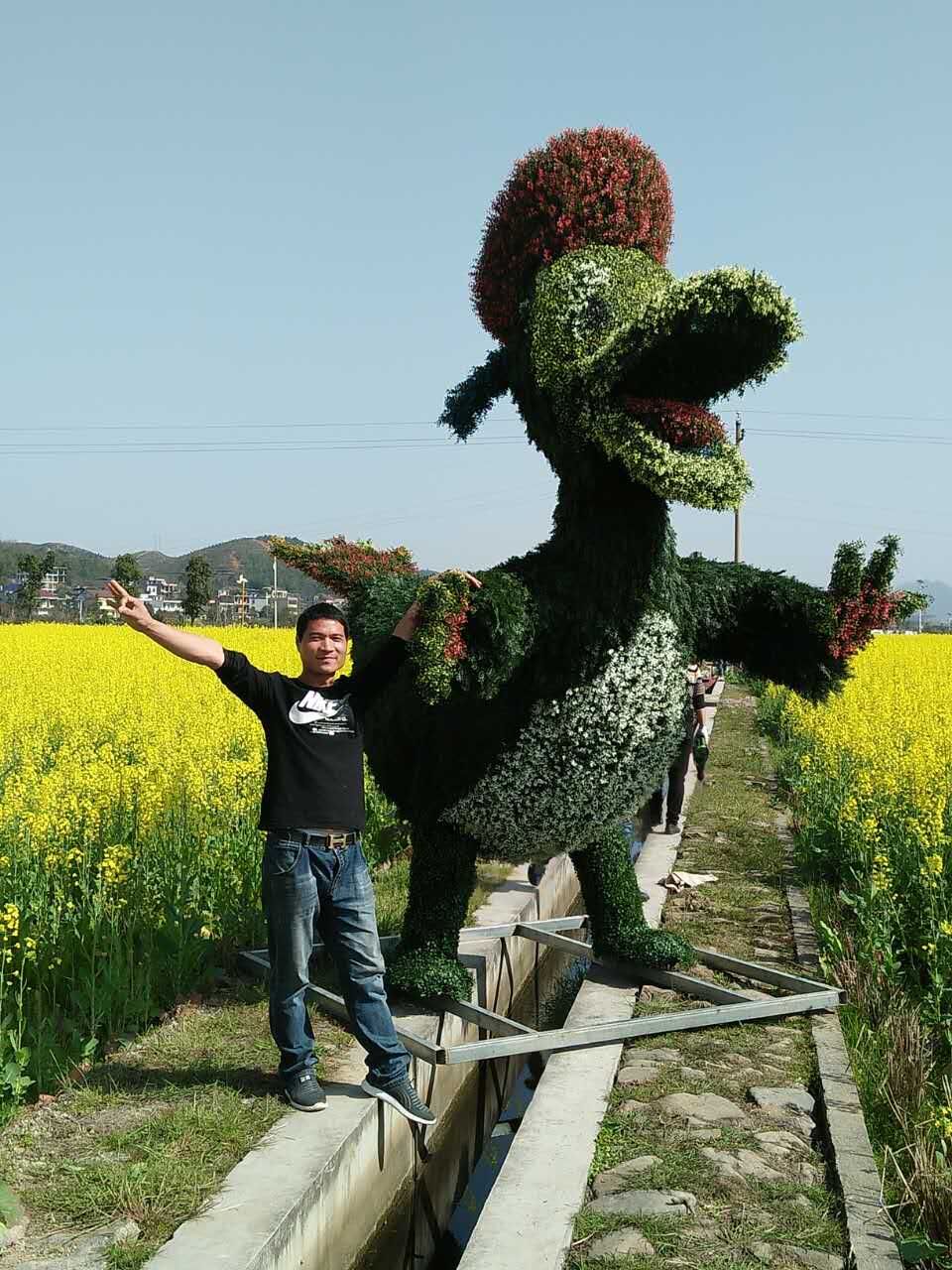 卡通仿真动植物绿雕园林景观绿雕造型雕塑图片