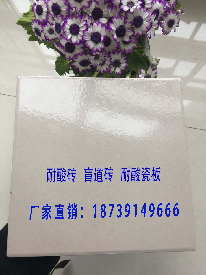 全瓷耐酸磚圖片/全瓷耐酸磚樣板圖 (2)