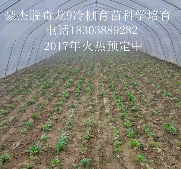農科院圖片/農科院樣板圖 (2)