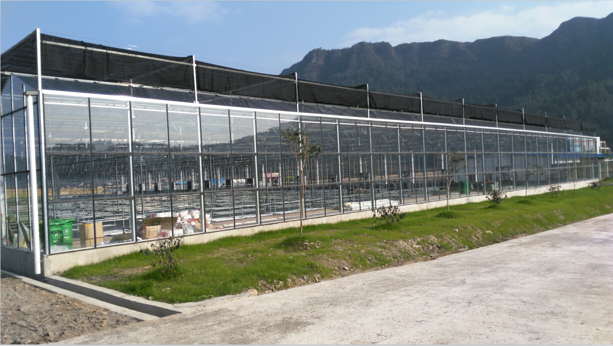 濟(jì)陽縣圖片/濟(jì)陽縣樣板圖 (4)